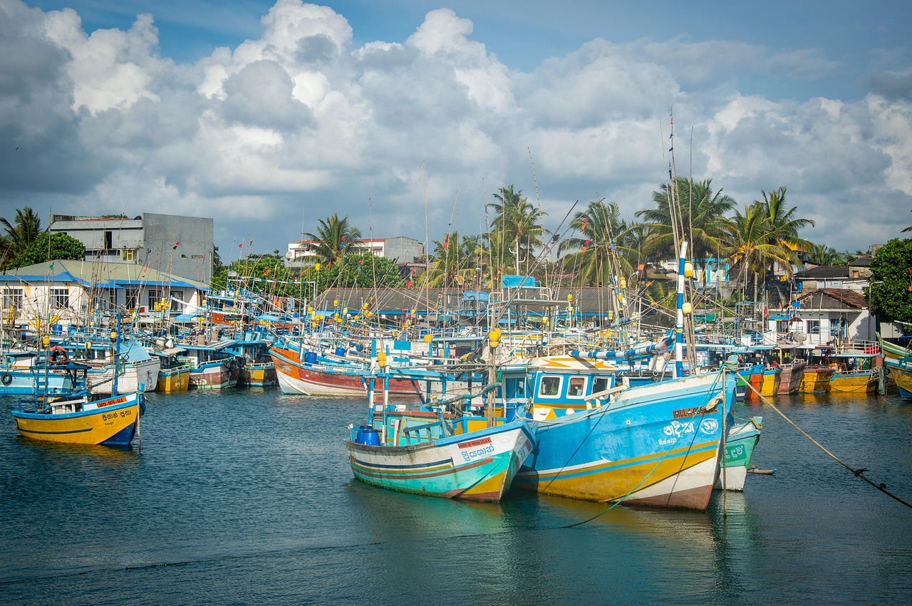View 1 of Sri Lanka 10-Day Package| Ancient Kings, Tea and Wild Leopards